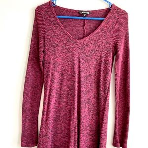 Express sweater dress